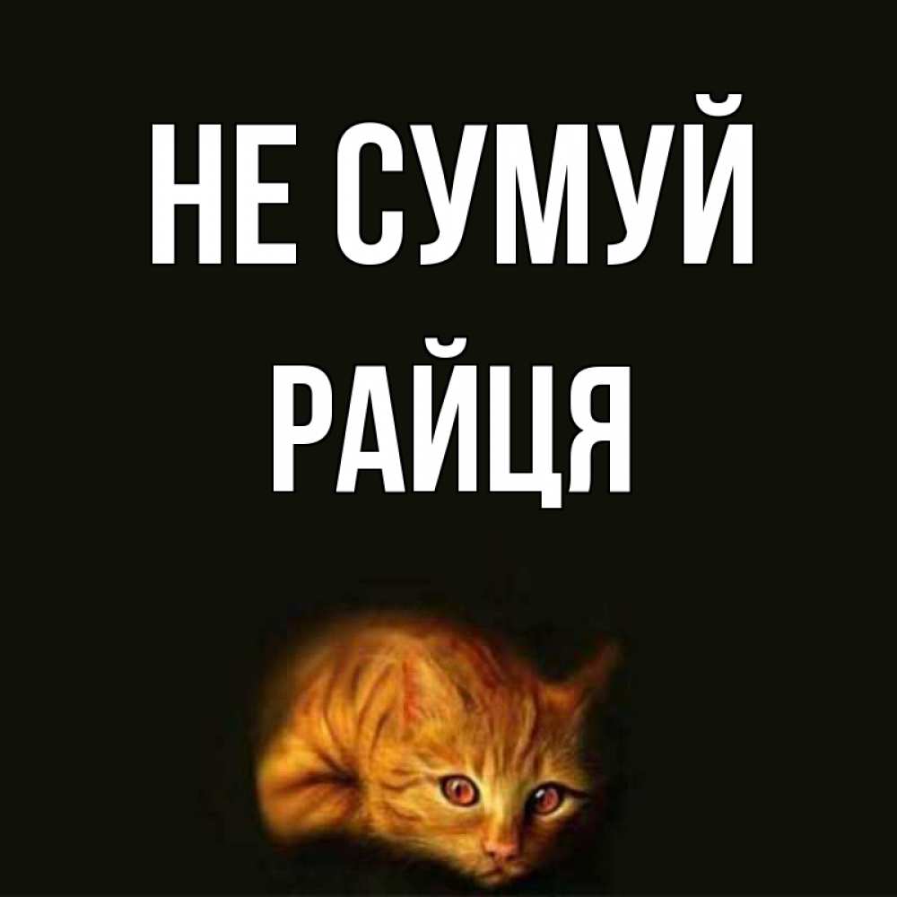 Открытка на каждый день з підписом, Райця Не сумуй лежащий кот в темноте Прикольна листівка з побажанням онлайн скачати безкоштовно 