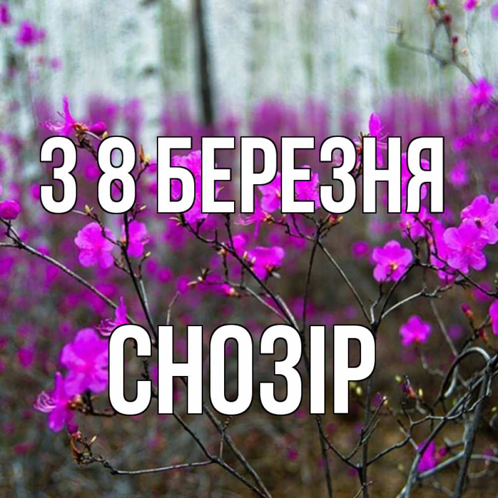 Открытка на каждый день з підписом, Снозір З 8 БЕРЕЗНЯ дикие цветы Прикольна листівка з побажанням онлайн скачати безкоштовно 