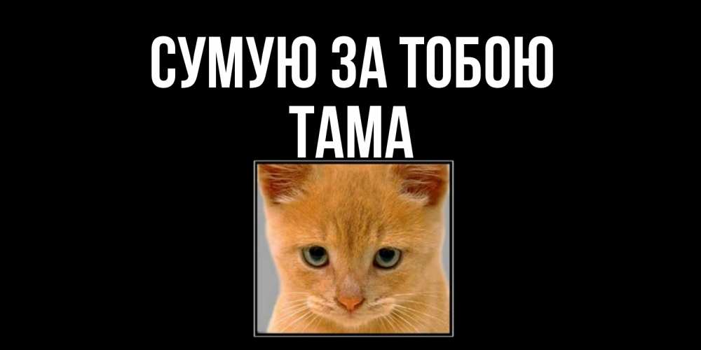 Открытка на каждый день з підписом, Тама Сумую за тобою открытки рыжий котенок скучает по тебе Прикольна листівка з побажанням онлайн скачати безкоштовно 