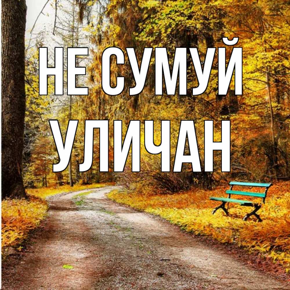 Открытка на каждый день з підписом, Уличан Не сумуй зеленая лавочка Прикольна листівка з побажанням онлайн скачати безкоштовно 