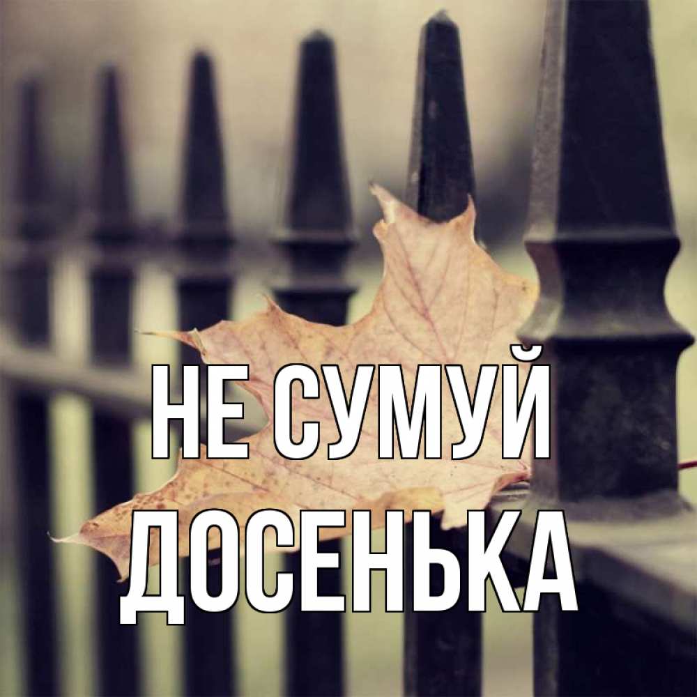 Открытка на каждый день з підписом, Досенька Не сумуй лист клена Прикольна листівка з побажанням онлайн скачати безкоштовно 