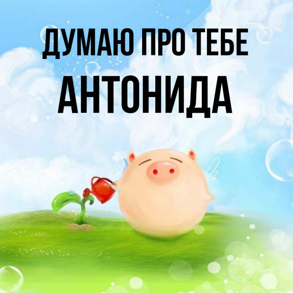Открытка на каждый день з підписом, Антонида Думаю про тебе позитивная свинюшка Прикольна листівка з побажанням онлайн скачати безкоштовно 