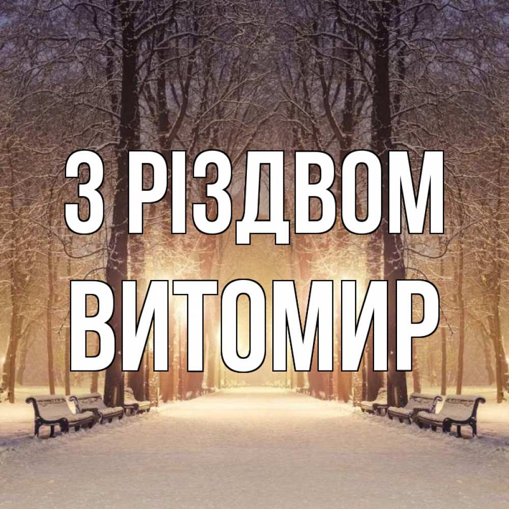 Открытка на каждый день з підписом, Витомир З Різдвом зима, парк, фонарь, лес Прикольна листівка з побажанням онлайн скачати безкоштовно 