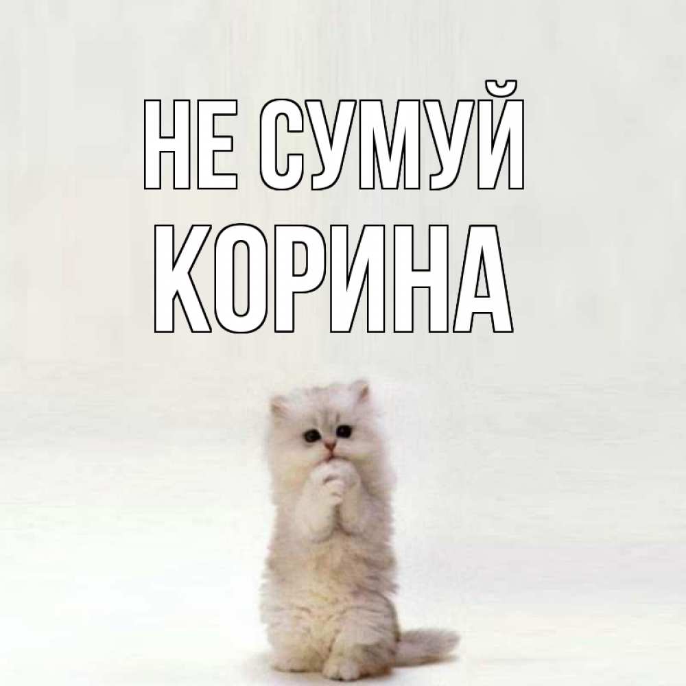 Открытка на каждый день з підписом, Корина Не сумуй грустный кот Прикольна листівка з побажанням онлайн скачати безкоштовно 
