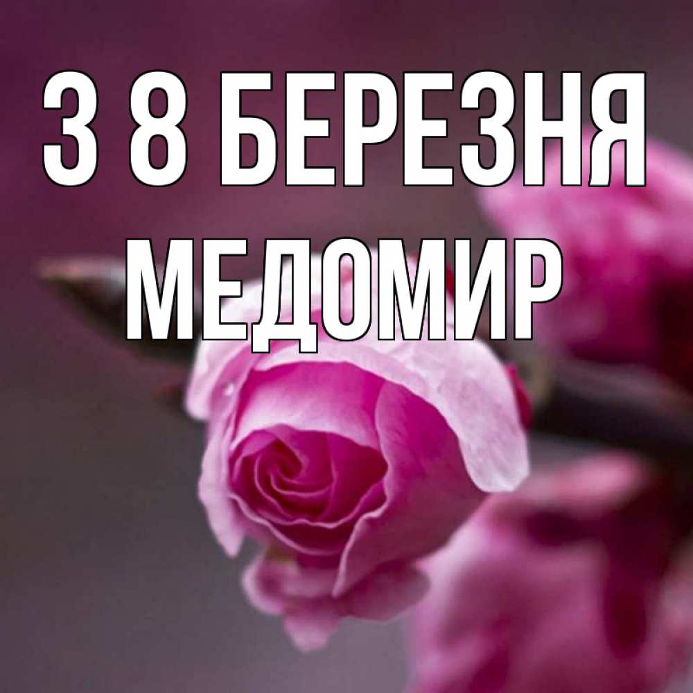 Открытка на каждый день з підписом, Медомир З 8 БЕРЕЗНЯ весна Прикольна листівка з побажанням онлайн скачати безкоштовно 