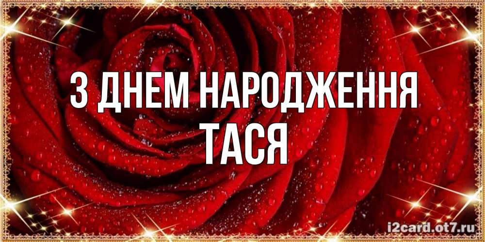 Открытка на каждый день з підписом, Тася З Днем народження роса на розе блестящая в лучах солнца Прикольна листівка з побажанням онлайн скачати безкоштовно 