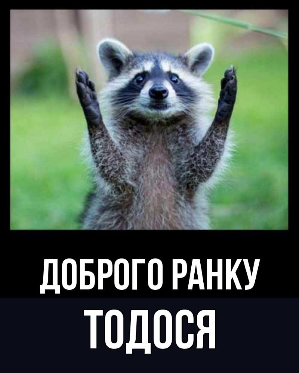 Открытка на каждый день з підписом, Тодося Доброго ранку хорошее настроение утречком Прикольна листівка з побажанням онлайн скачати безкоштовно 