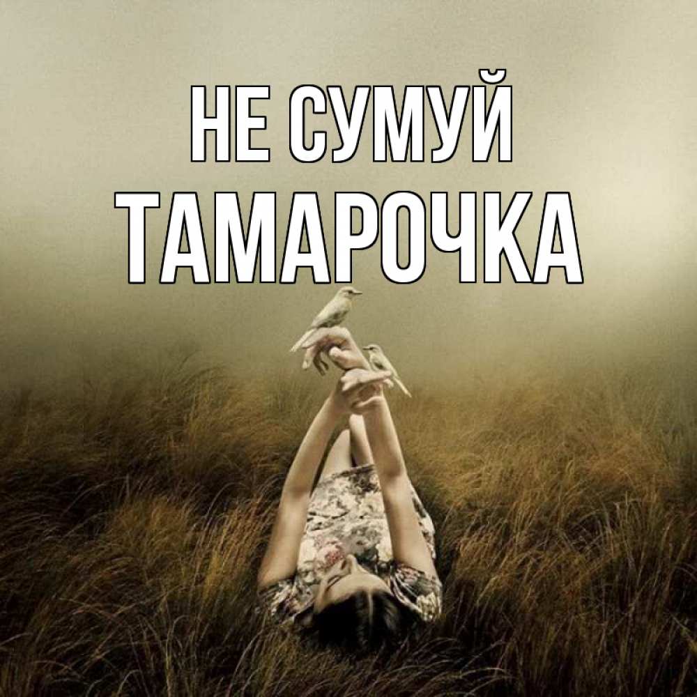 Открытка на каждый день з підписом, Тамарочка Не сумуй поле и туман Прикольна листівка з побажанням онлайн скачати безкоштовно 