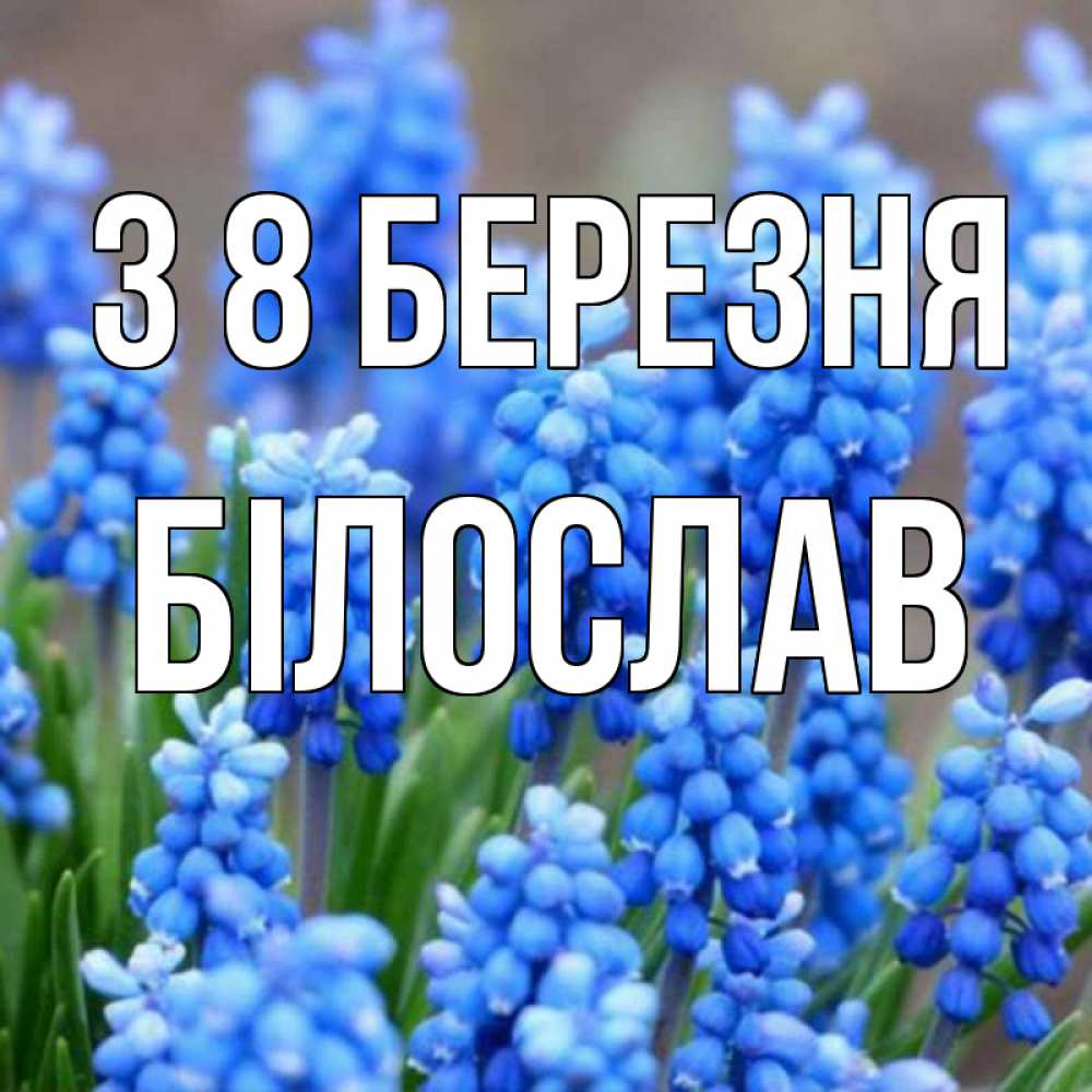 Открытка на каждый день з підписом, Білослав З 8 БЕРЕЗНЯ Поздравительная открытка для женщин с цветами на праздничную дату Прикольна листівка з побажанням онлайн скачати безкоштовно 