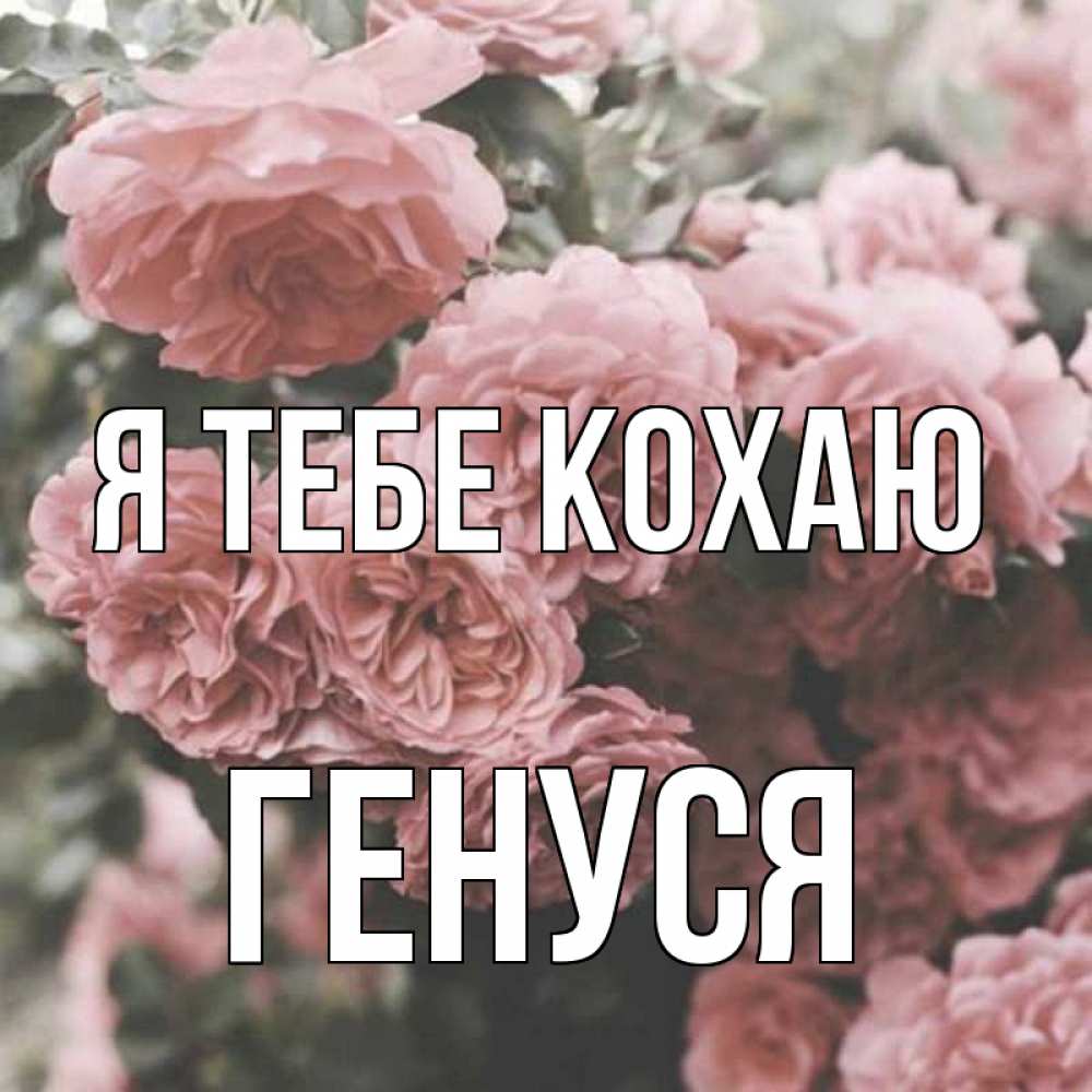 Открытка на каждый день з підписом, Генуся Я тебе кохаю розы 3 Прикольна листівка з побажанням онлайн скачати безкоштовно 