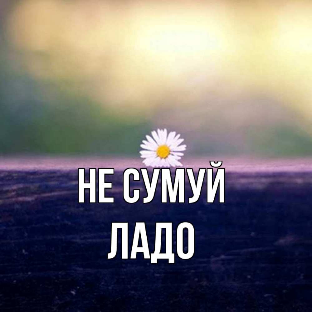 Открытка на каждый день з підписом, Ладо Не сумуй красота Прикольна листівка з побажанням онлайн скачати безкоштовно 