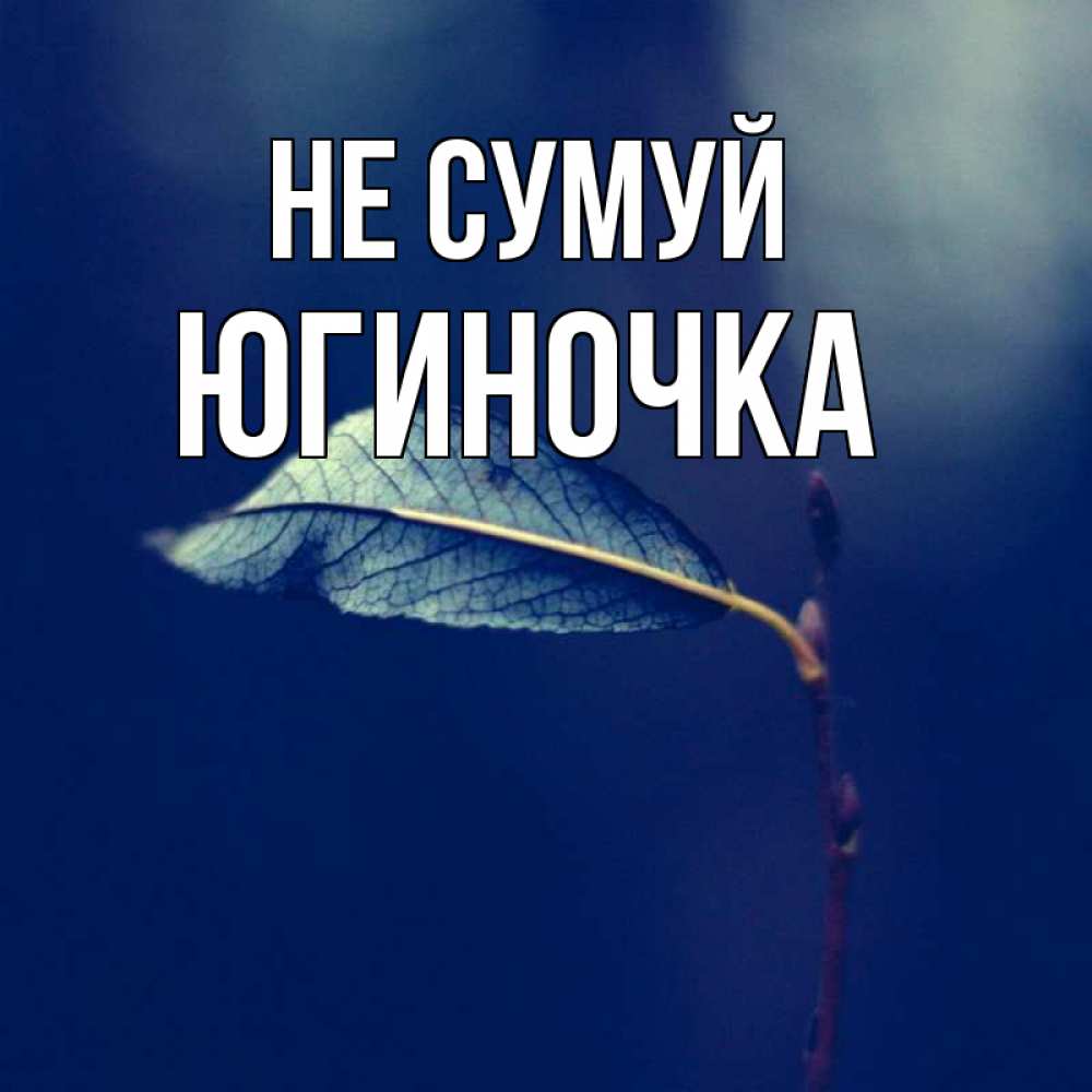 Открытка на каждый день з підписом, Югиночка Не сумуй растение Прикольна листівка з побажанням онлайн скачати безкоштовно 