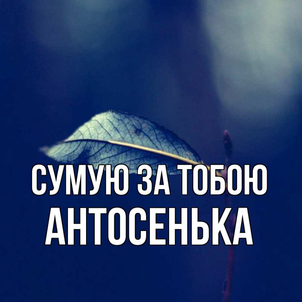 Открытка на каждый день з підписом, Антосенька Сумую за тобою одна ветка 1 Прикольна листівка з побажанням онлайн скачати безкоштовно 