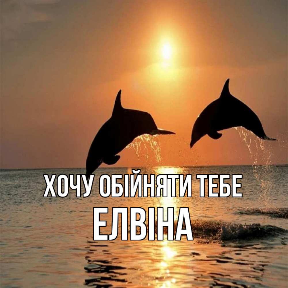 Открытка на каждый день з підписом, Елвіна Хочу обійняти тебе рыбы на закате Прикольна листівка з побажанням онлайн скачати безкоштовно 