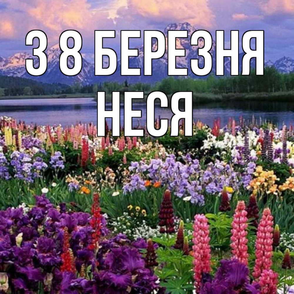 Открытка на каждый день з підписом, Неся З 8 БЕРЕЗНЯ международный женский день Прикольна листівка з побажанням онлайн скачати безкоштовно 