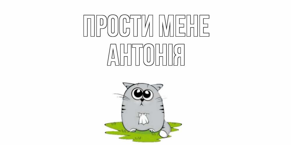 Открытка на каждый день з підписом, Антонія Прости мене открытка с котиком просящим прощения Прикольна листівка з побажанням онлайн скачати безкоштовно 