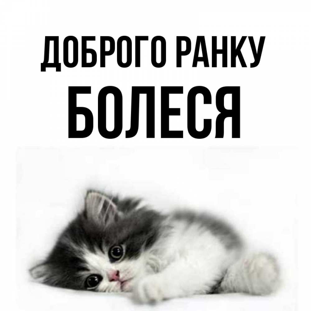 Открытка на каждый день з підписом, Болеся Доброго ранку кот лапки Прикольна листівка з побажанням онлайн скачати безкоштовно 
