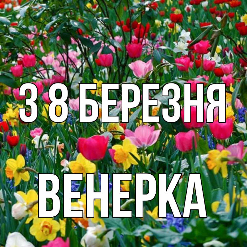 Открытка на каждый день з підписом, Венерка З 8 БЕРЕЗНЯ с международным женским днем поздравления для женщины Прикольна листівка з побажанням онлайн скачати безкоштовно 