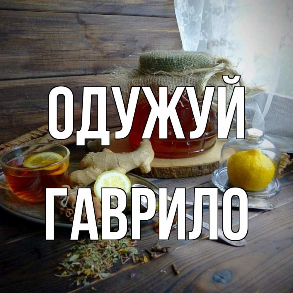 Открытка на каждый день з підписом, Гаврило Одужуй банка с медом Прикольна листівка з побажанням онлайн скачати безкоштовно 