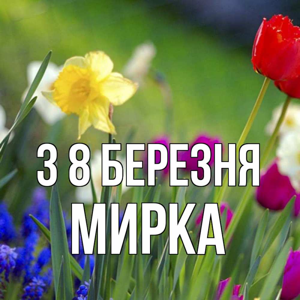 Открытка на каждый день з підписом, Мирка З 8 БЕРЕЗНЯ международный женский день 3 Прикольна листівка з побажанням онлайн скачати безкоштовно 