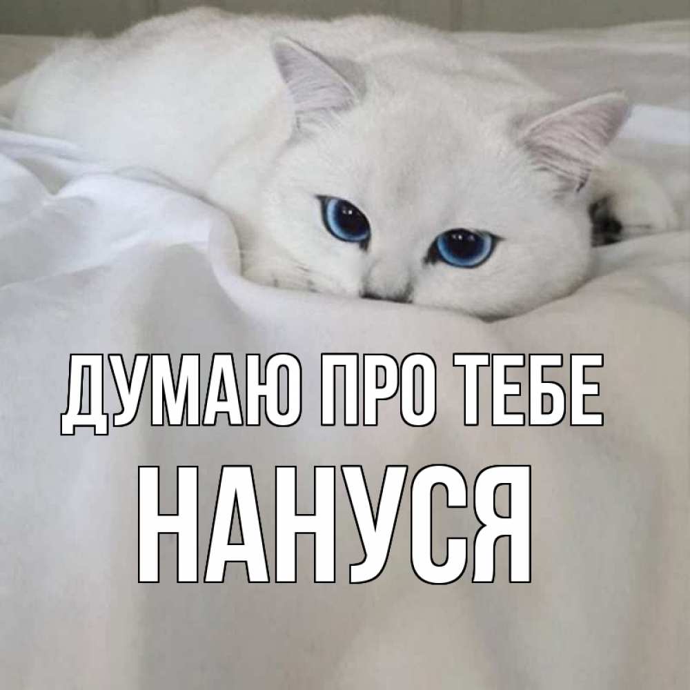 Открытка на каждый день з підписом, Нануся Думаю про тебе я очень по тебе скучаю и тоскую Прикольна листівка з побажанням онлайн скачати безкоштовно 