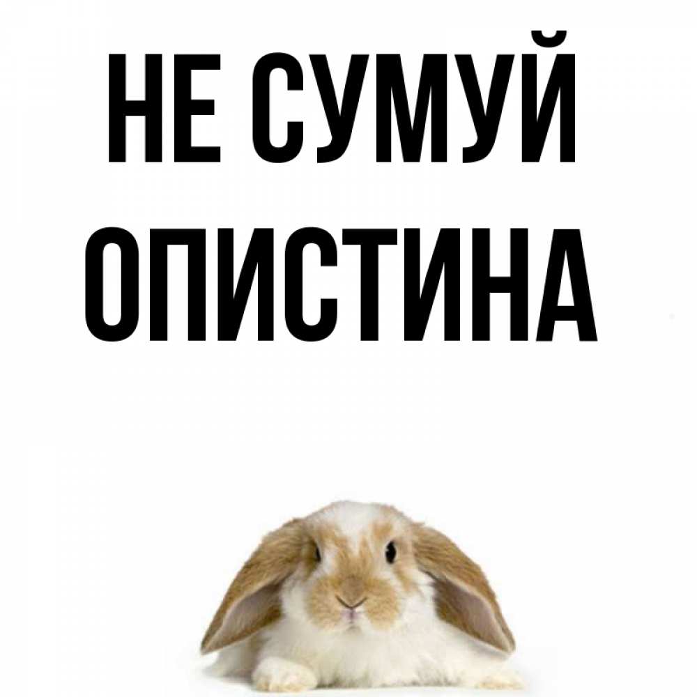 Открытка на каждый день з підписом, Опистина Не сумуй коричнево белый заяц с большими ушками Прикольна листівка з побажанням онлайн скачати безкоштовно 