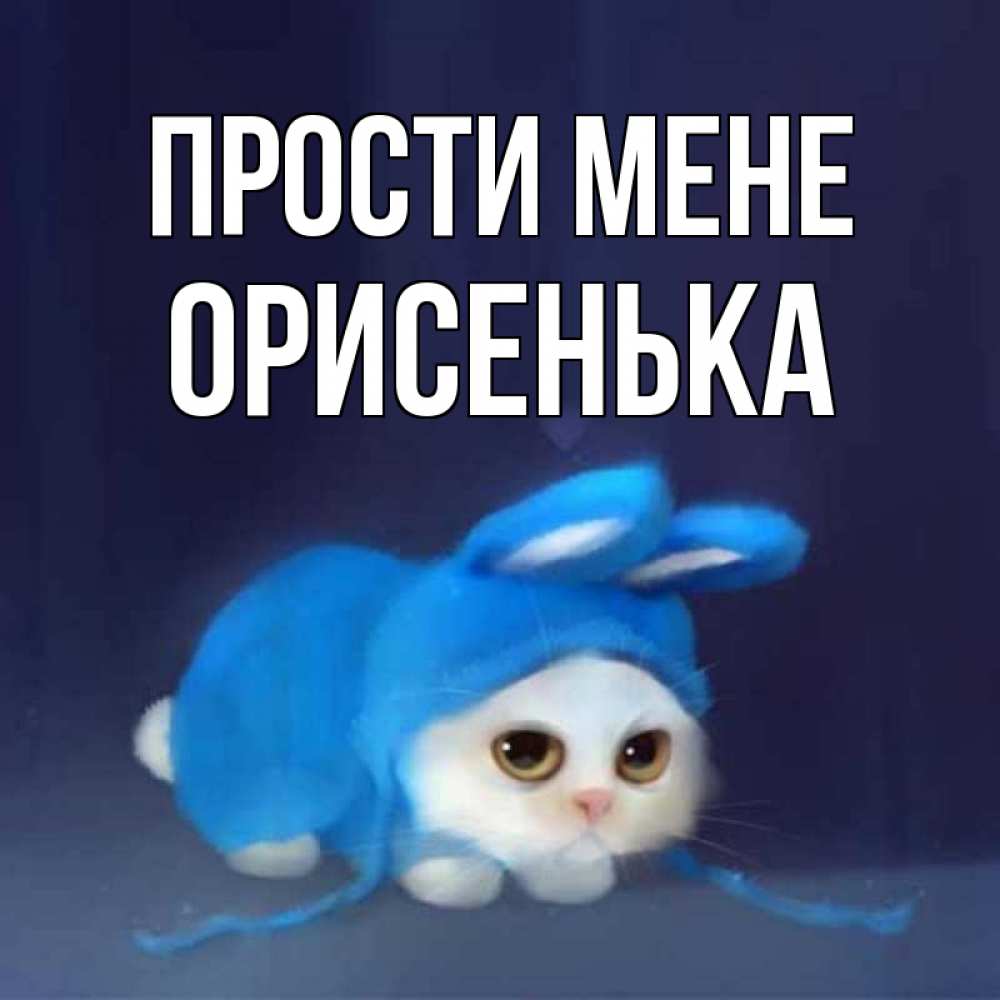 Открытка на каждый день з підписом, Орисенька Прости мене невинный котозай просит прощения Прикольна листівка з побажанням онлайн скачати безкоштовно 