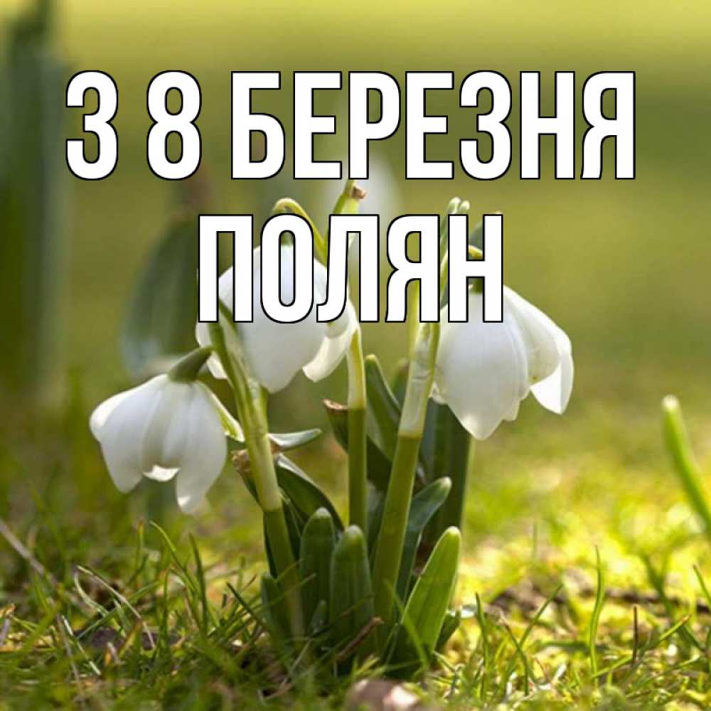 Открытка на каждый день з підписом, Полян З 8 БЕРЕЗНЯ ранние цветы 2 Прикольна листівка з побажанням онлайн скачати безкоштовно 