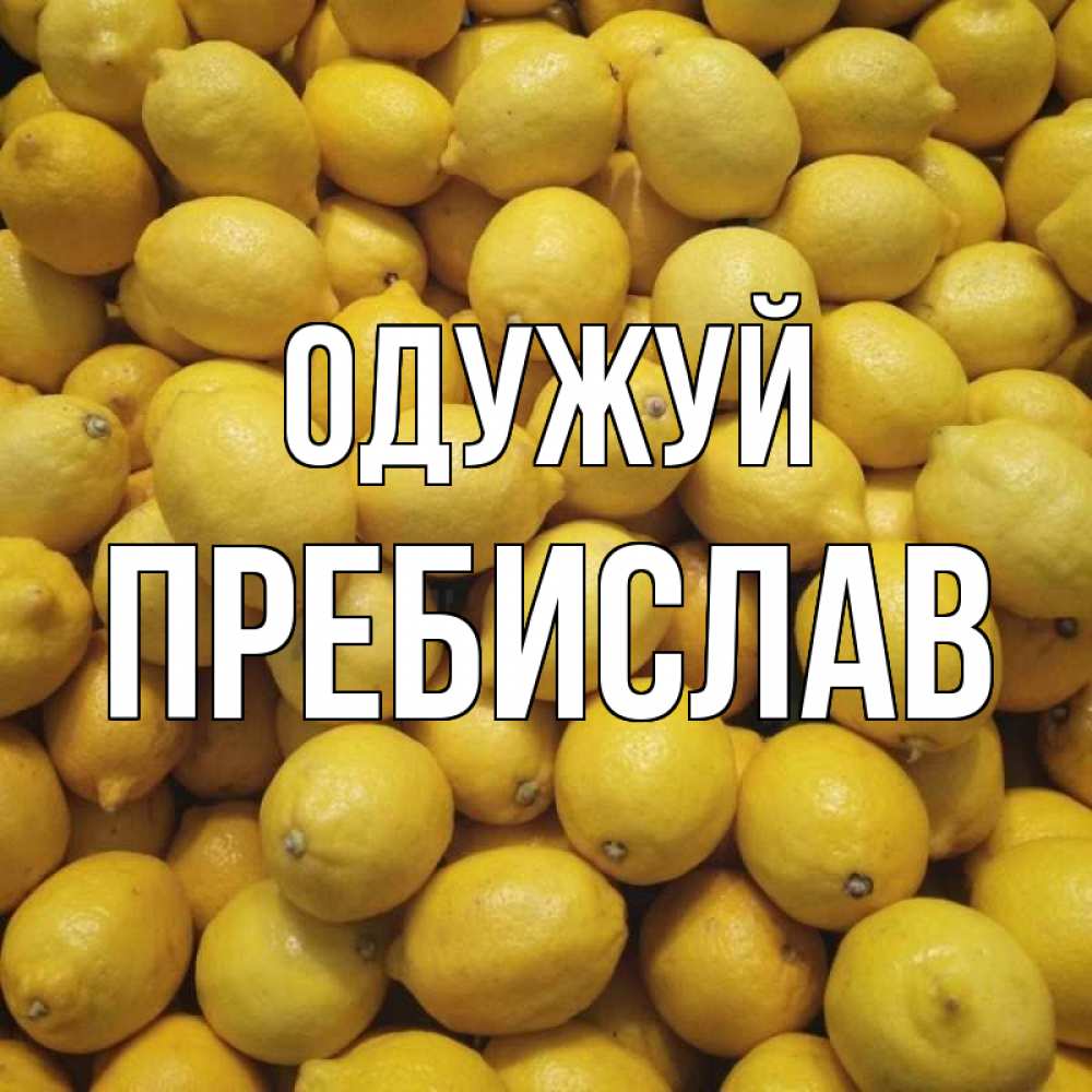 Открытка на каждый день з підписом, Пребислав Одужуй это точно поможет Прикольна листівка з побажанням онлайн скачати безкоштовно 