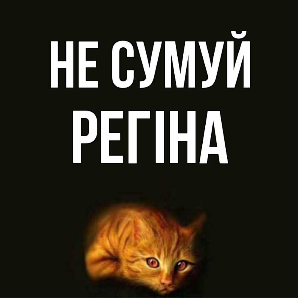 Открытка на каждый день з підписом, Регіна Не сумуй лежащий кот в темноте Прикольна листівка з побажанням онлайн скачати безкоштовно 