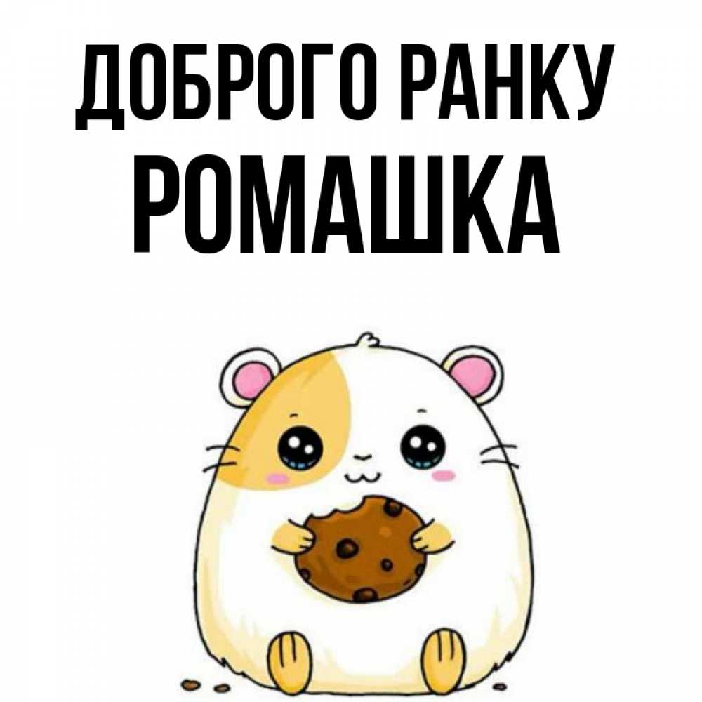 Открытка на каждый день з підписом, Ромашка Доброго ранку есть печеньку. Утречко Прикольна листівка з побажанням онлайн скачати безкоштовно 