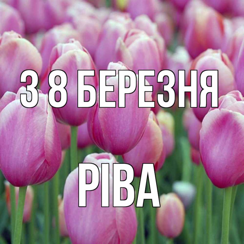 Открытка на каждый день з підписом, Ріва З 8 БЕРЕЗНЯ на международный женский день 3 Прикольна листівка з побажанням онлайн скачати безкоштовно 