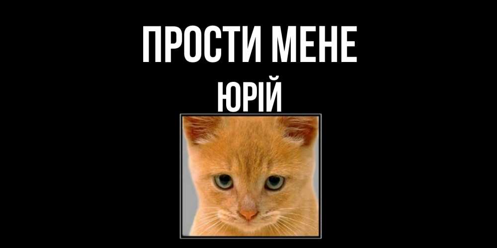 Открытка на каждый день з підписом, Юрій Прости мене рыжий грустный кот просит прощения Прикольна листівка з побажанням онлайн скачати безкоштовно 