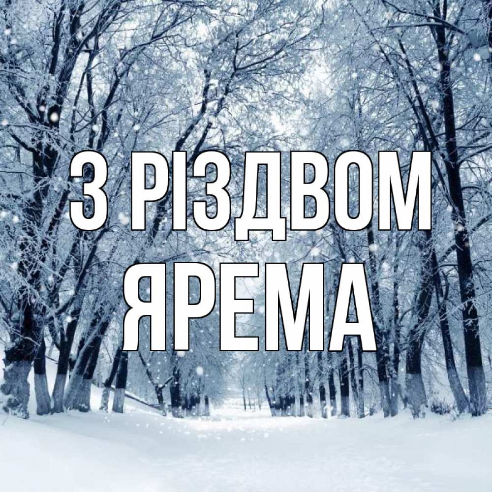 Открытка на каждый день з підписом, Ярема З Різдвом снег, лес, парк Прикольна листівка з побажанням онлайн скачати безкоштовно 