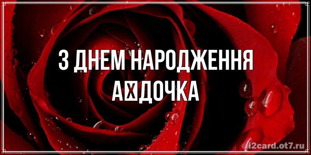 Открытка на каждый день з підписом, Аїдочка З Днем народження крупная бордовая роза Прикольна листівка з побажанням онлайн скачати безкоштовно 