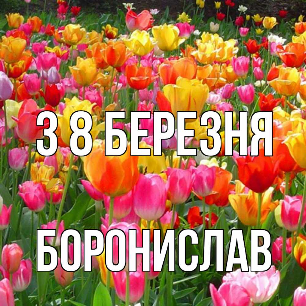 Открытка на каждый день з підписом, Боронислав З 8 БЕРЕЗНЯ на международный женский день Прикольна листівка з побажанням онлайн скачати безкоштовно 