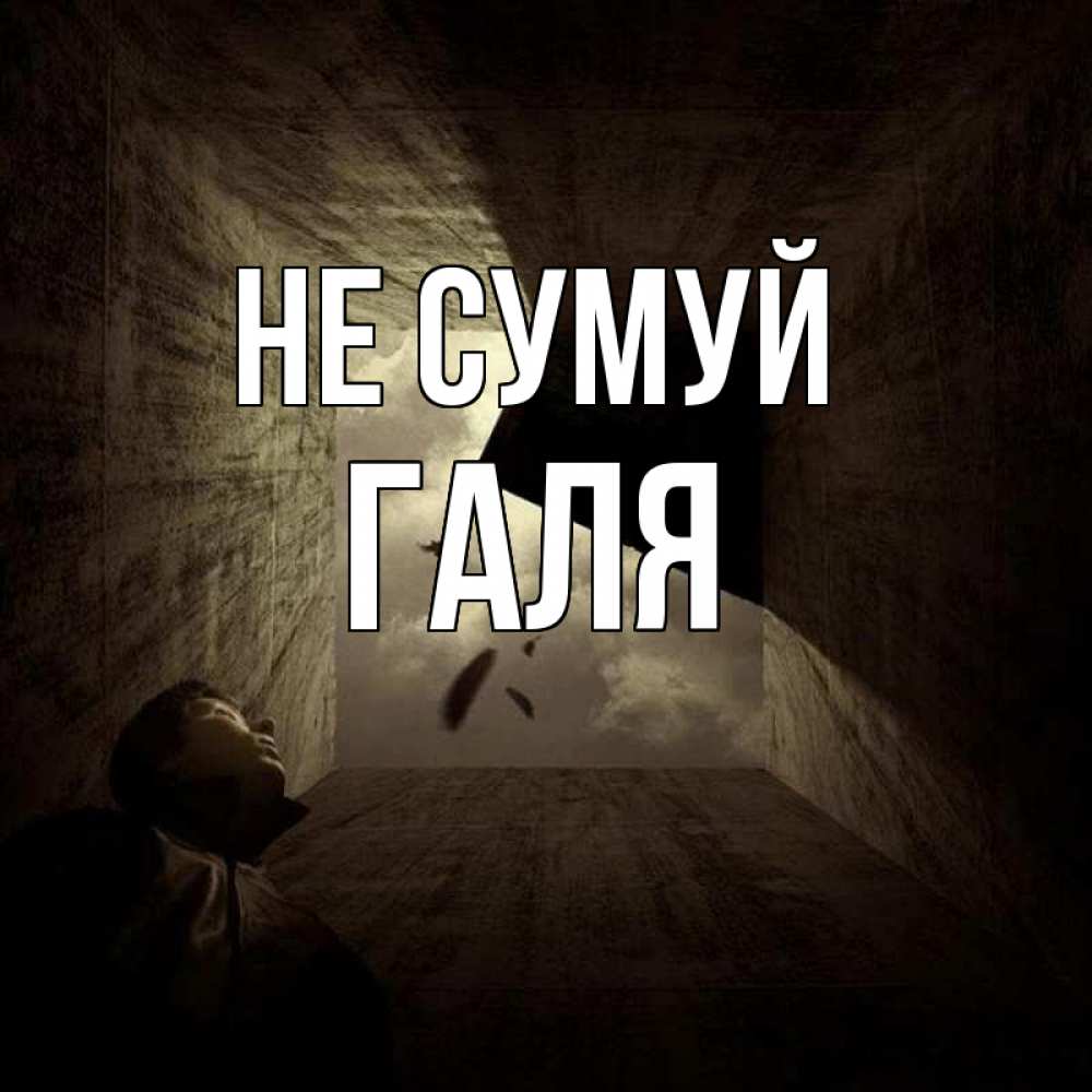 Открытка на каждый день з підписом, Галя Не сумуй жуть Прикольна листівка з побажанням онлайн скачати безкоштовно 