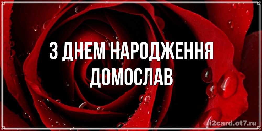 Открытка на каждый день з підписом, Домослав З Днем народження крупная бордовая роза Прикольна листівка з побажанням онлайн скачати безкоштовно 