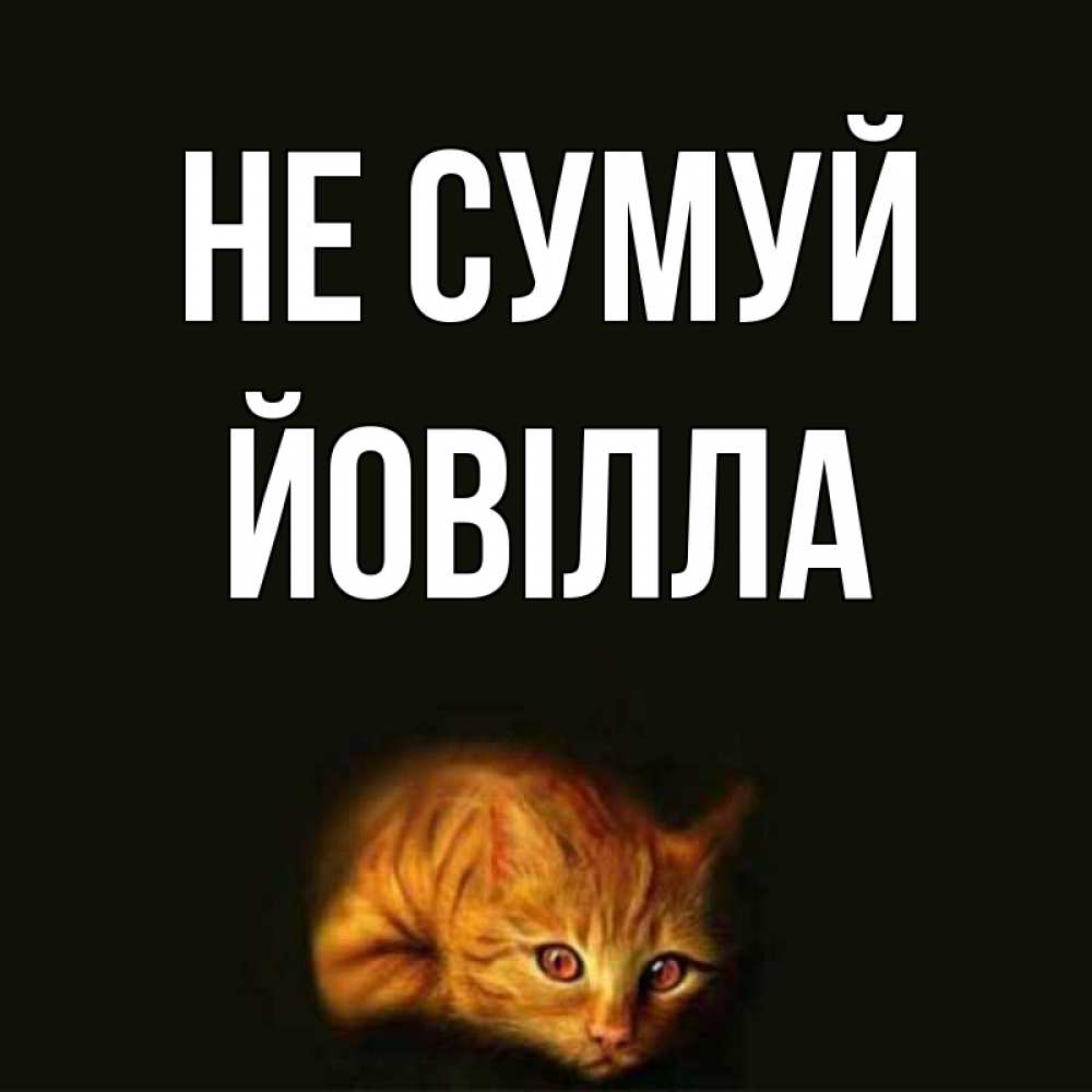 Открытка на каждый день з підписом, Йовілла Не сумуй лежащий кот в темноте Прикольна листівка з побажанням онлайн скачати безкоштовно 