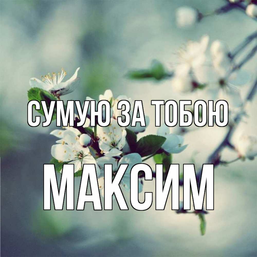 Открытка на каждый день з підписом, Максим Сумую за тобою весна Прикольна листівка з побажанням онлайн скачати безкоштовно 
