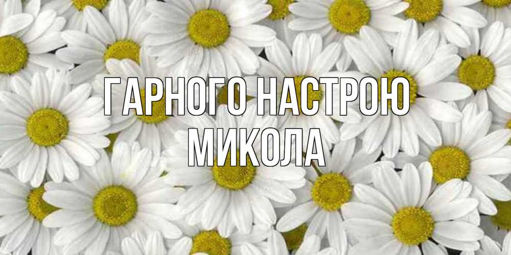 Открытка на каждый день з підписом, Микола Гарного настрою поляна ромашек Прикольна листівка з побажанням онлайн скачати безкоштовно 