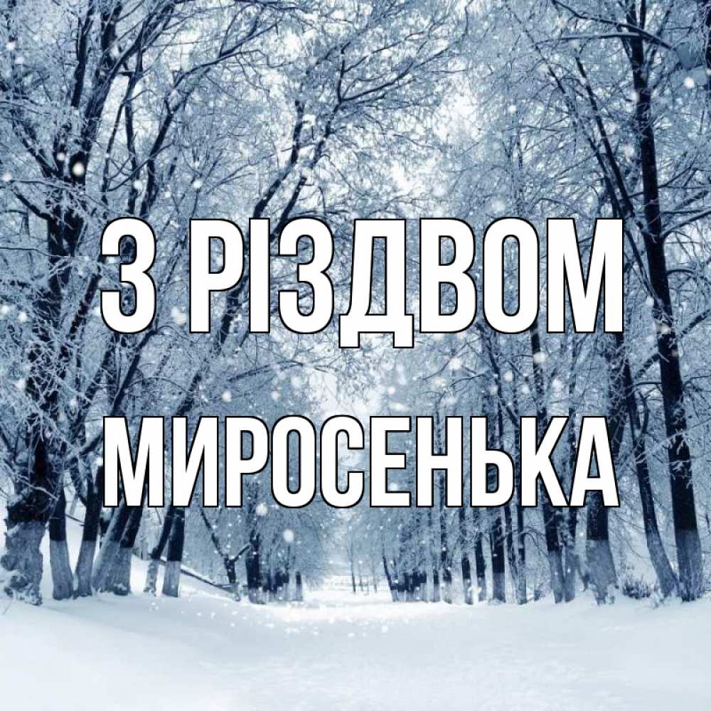 Открытка на каждый день з підписом, Миросенька З Різдвом снег, лес, парк Прикольна листівка з побажанням онлайн скачати безкоштовно 