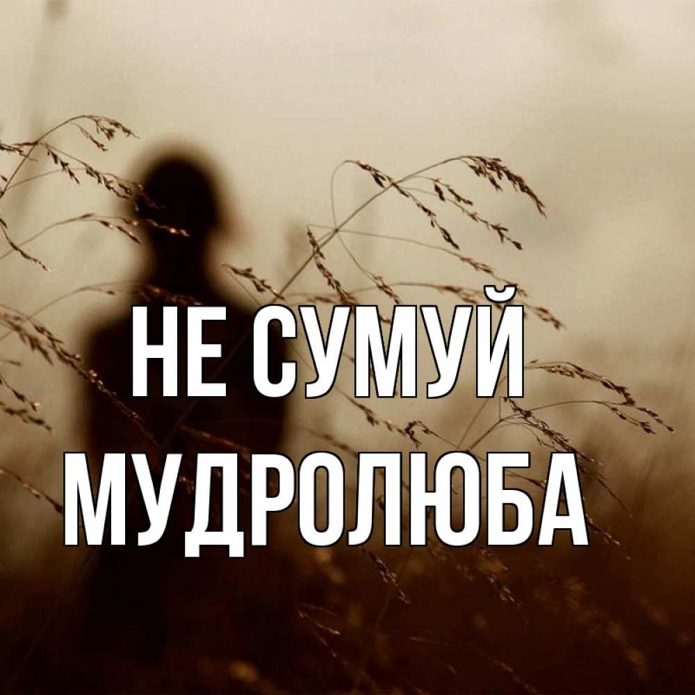 Открытка на каждый день з підписом, Мудролюба Не сумуй грусть Прикольна листівка з побажанням онлайн скачати безкоштовно 