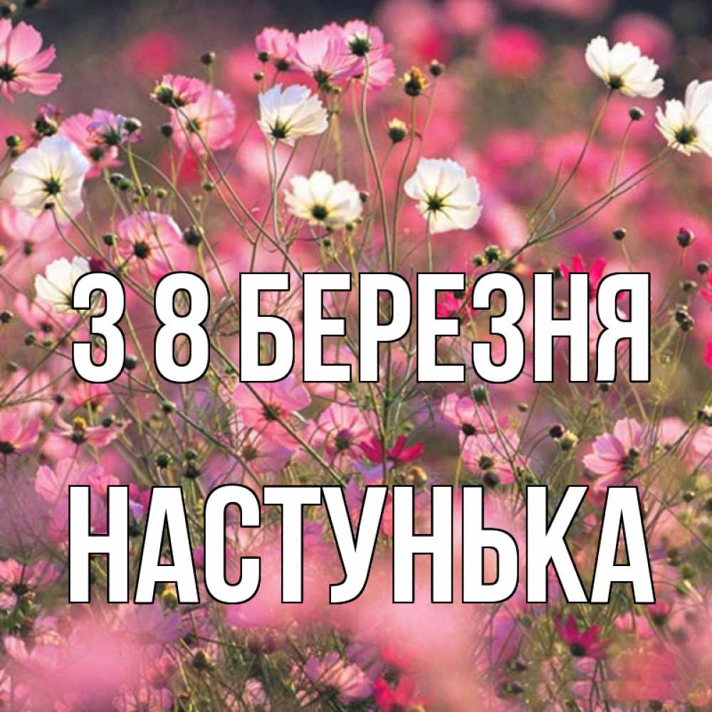 Открытка на каждый день з підписом, Настунька З 8 БЕРЕЗНЯ красиво 1 Прикольна листівка з побажанням онлайн скачати безкоштовно 