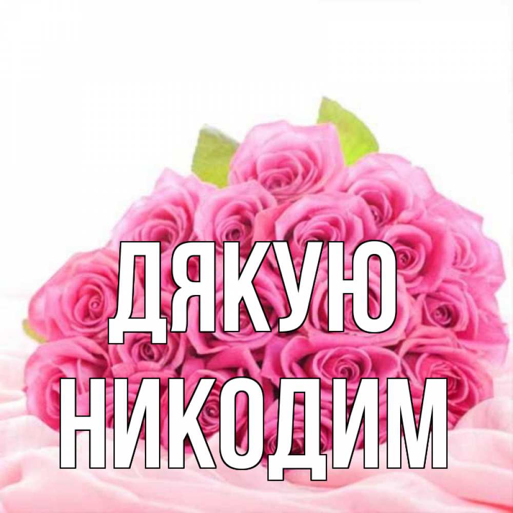 Открытка на каждый день з підписом, Никодим Дякую розовые розы с подписью Прикольна листівка з побажанням онлайн скачати безкоштовно 