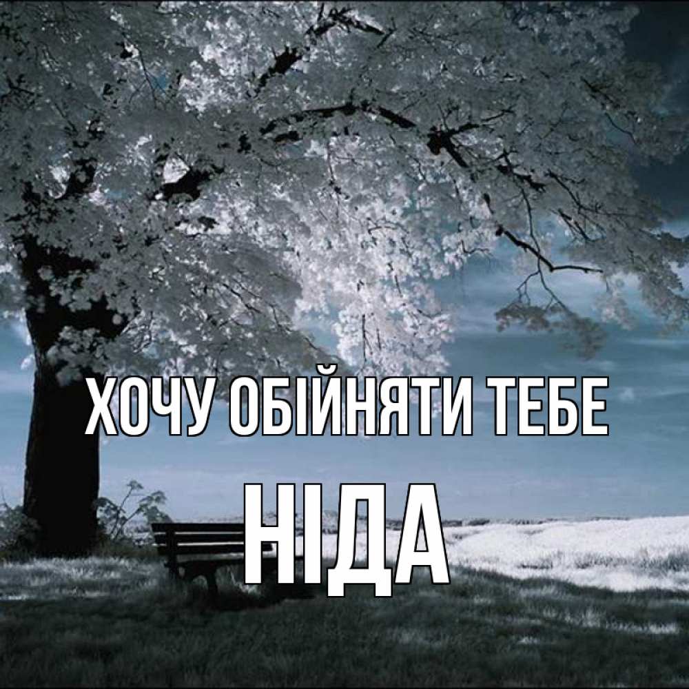 Открытка на каждый день з підписом, Ніда Хочу обійняти тебе дерево Прикольна листівка з побажанням онлайн скачати безкоштовно 