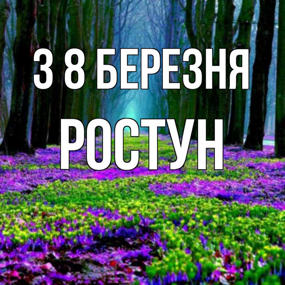 Открытка на каждый день з підписом, Ростун З 8 БЕРЕЗНЯ фиолетовые цветы в лесу 1 Прикольна листівка з побажанням онлайн скачати безкоштовно 