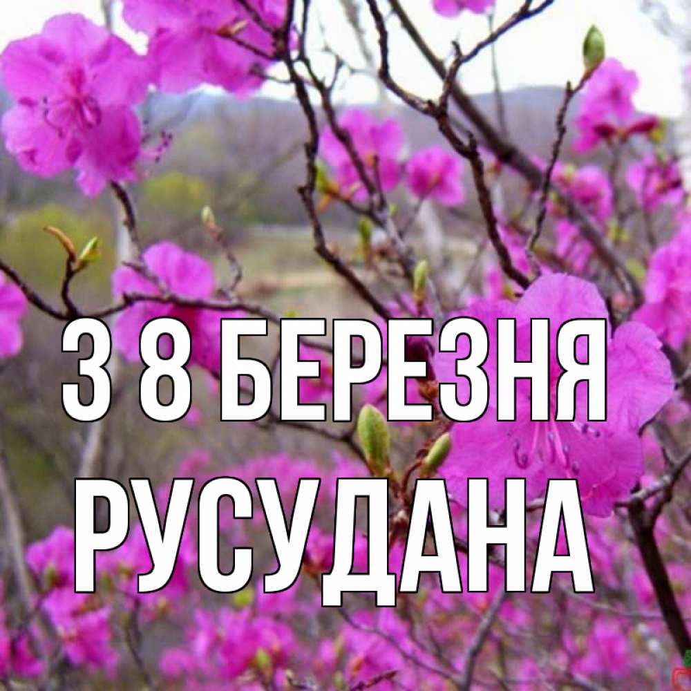 Открытка на каждый день з підписом, Русудана З 8 БЕРЕЗНЯ международный женский день Прикольна листівка з побажанням онлайн скачати безкоштовно 
