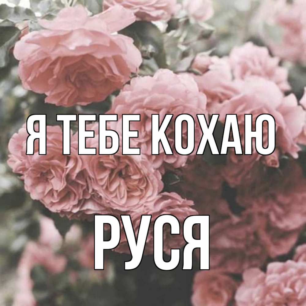 Открытка на каждый день з підписом, Руся Я тебе кохаю розы 3 Прикольна листівка з побажанням онлайн скачати безкоштовно 
