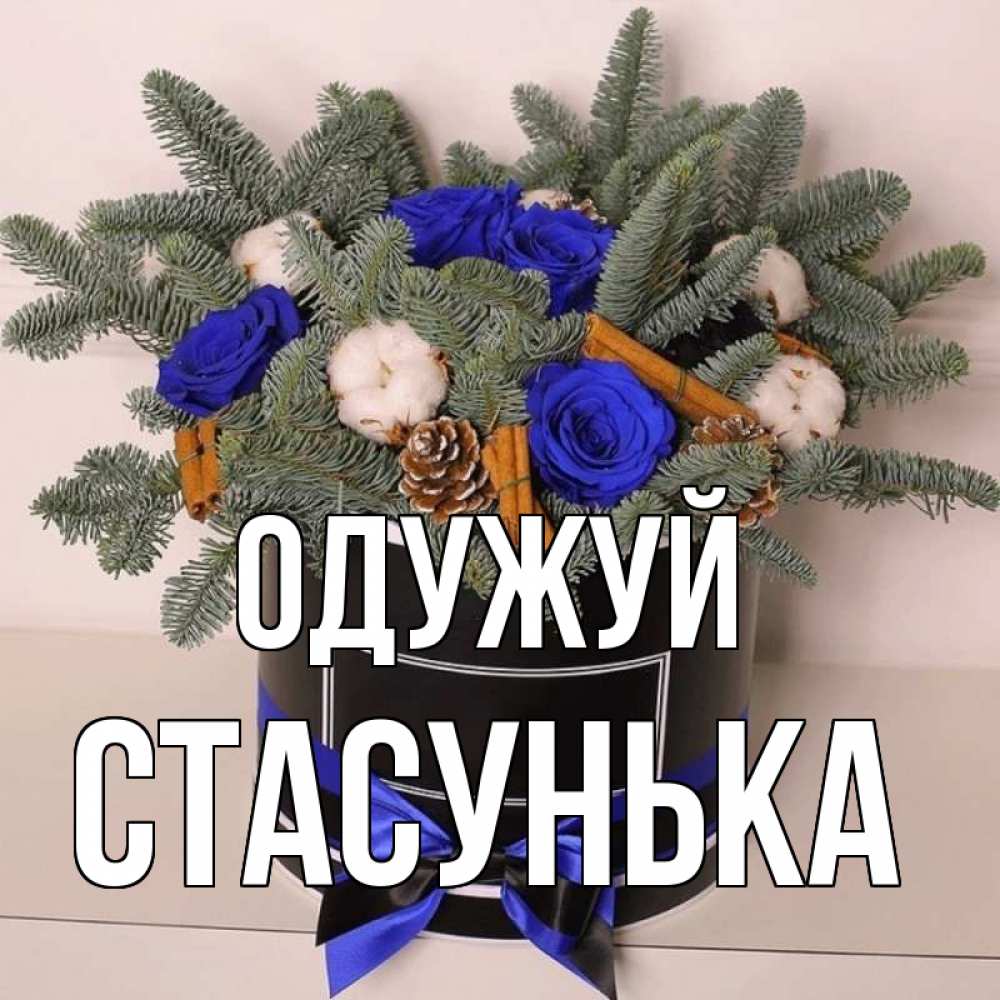 Открытка на каждый день з підписом, Стасунька Одужуй короче кто то загрузил эти шишки Прикольна листівка з побажанням онлайн скачати безкоштовно 